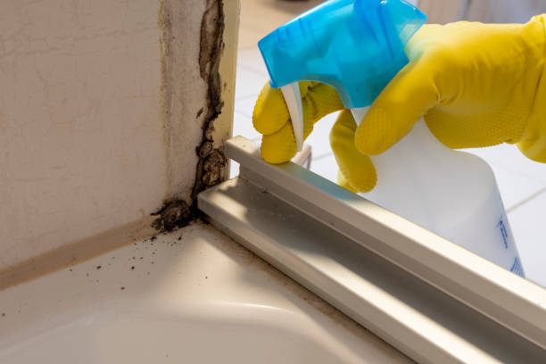 Best Mold Removal Specialists  in Harrah, OK