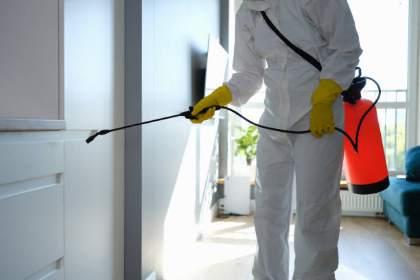 Best Toxic Mold Removal  in Harrah, OK