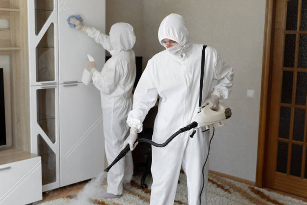 Best Mold Cleaning Services  in Harrah, OK