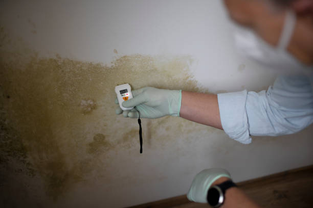 Best Office Mold Removal Services  in Harrah, OK