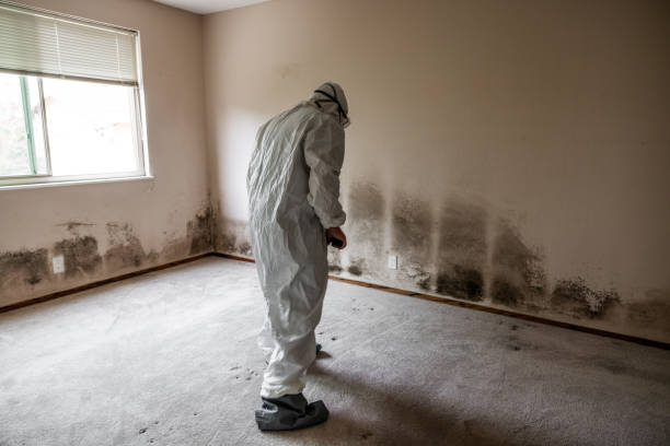 Best Professional Mold Removal  in Harrah, OK